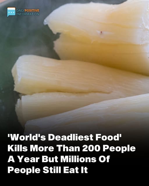 Over 200 People Are Killed By The “World’s Deadliest Food” Every Year, But Almost 500 Million People Still Eat It