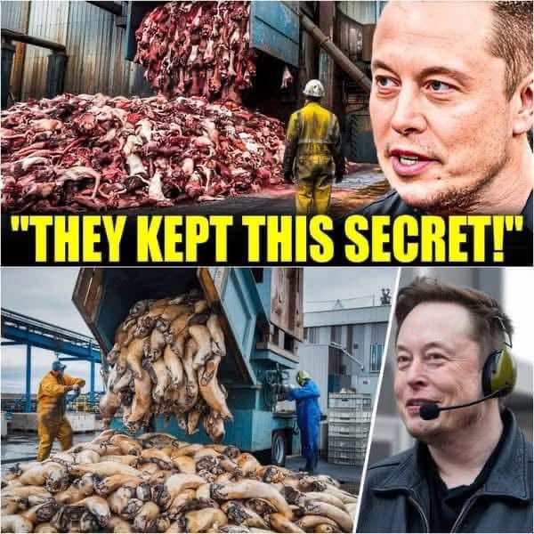 Elon Musk Exposes The Truth: 7 Everyday Products You’Ll Stop Buying Once You Learn What’S Inside!