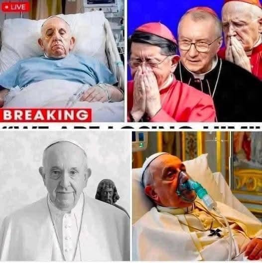 Breaking News! Pope Francis has failed…👇