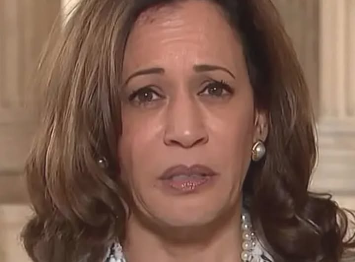 Kamala Harris’ Ex Criticizes Her Campaign: ‘Not One of Them Got it Right’