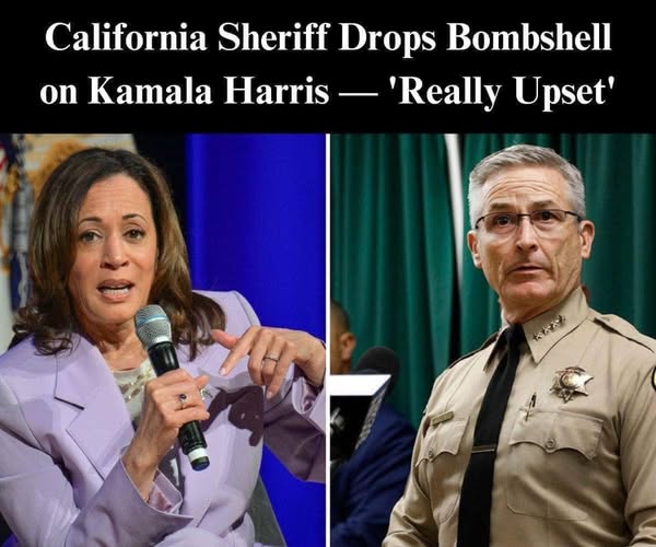 California Sheriff Expresses Frustration Over Being Featured in Harris’s New Campaign Ad