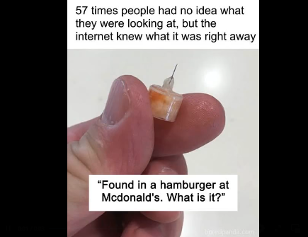 57 times people had no idea what they were looking at, but the internet knew what it was right away (link in the comments)