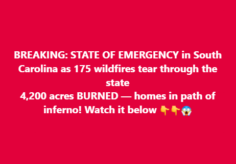 South Carolina Enters State of Emergency as Wildfires Rage Across the State