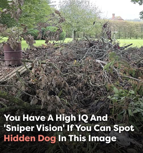 Can you spot the hidden dog? Only those with ‘sniper vision’ can find it